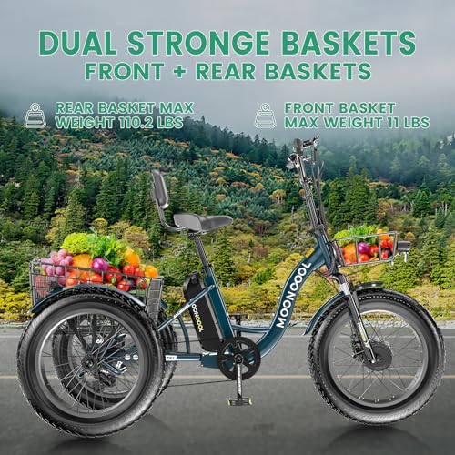 20" x 4" Fat Tire Electric Tricycle with Removable Battery Q6371