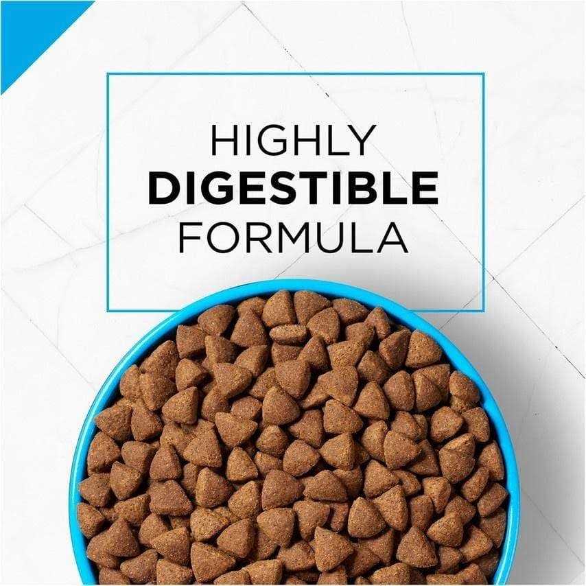 Sensitive Skin & Stomach Salmon & Rice Formula Dry Dog Food B33039