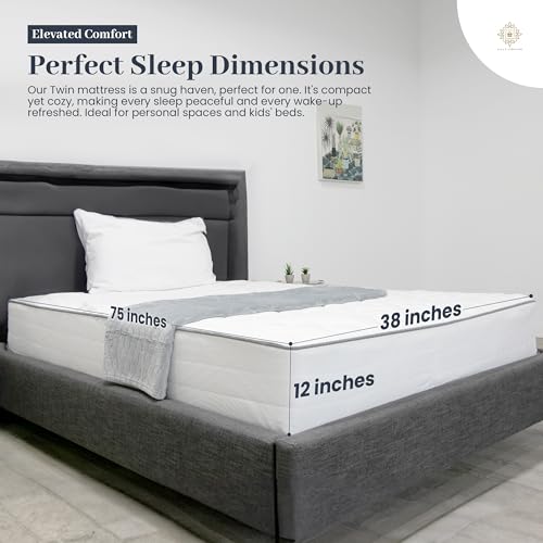 12 Inch Hybrid Twin Mattress with Pocketed Coil Spring and Cold Foam T6011