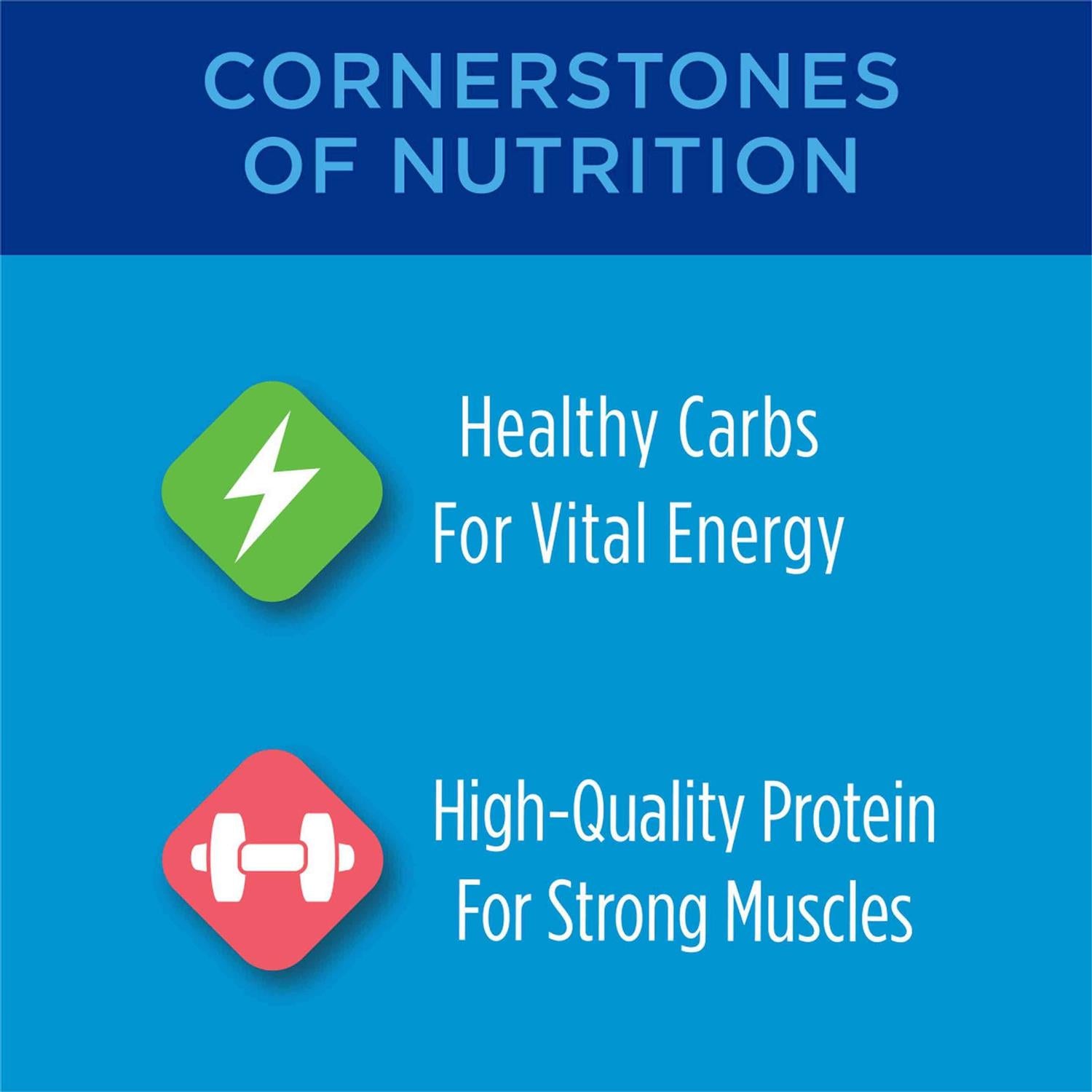 High Protein Dry Cat Food C358330