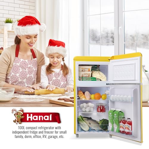 Mini Fridge with Freezer Dual Door Y64891