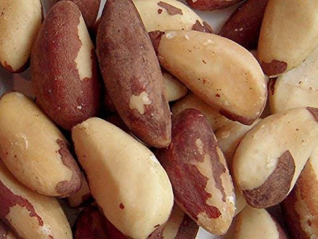 Raw Brazil Nuts I5642