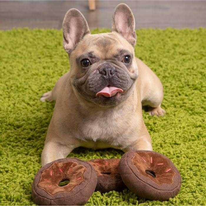 Donut Squeaky Plush Dog Toy J192425