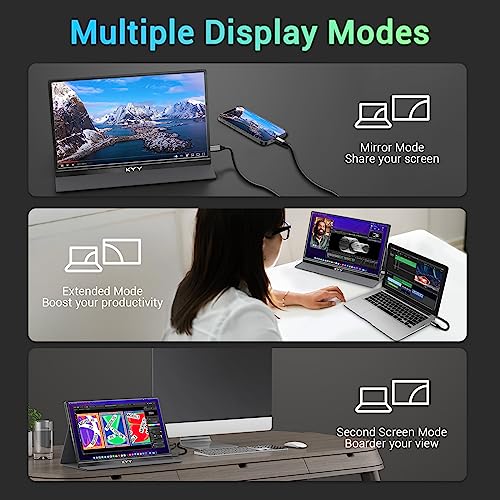15.6'' FHD 1080P USB C HDMI IPS Portable Monitor P22153