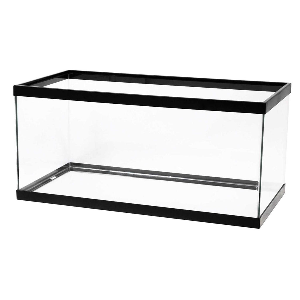 Black Aquarium N42072