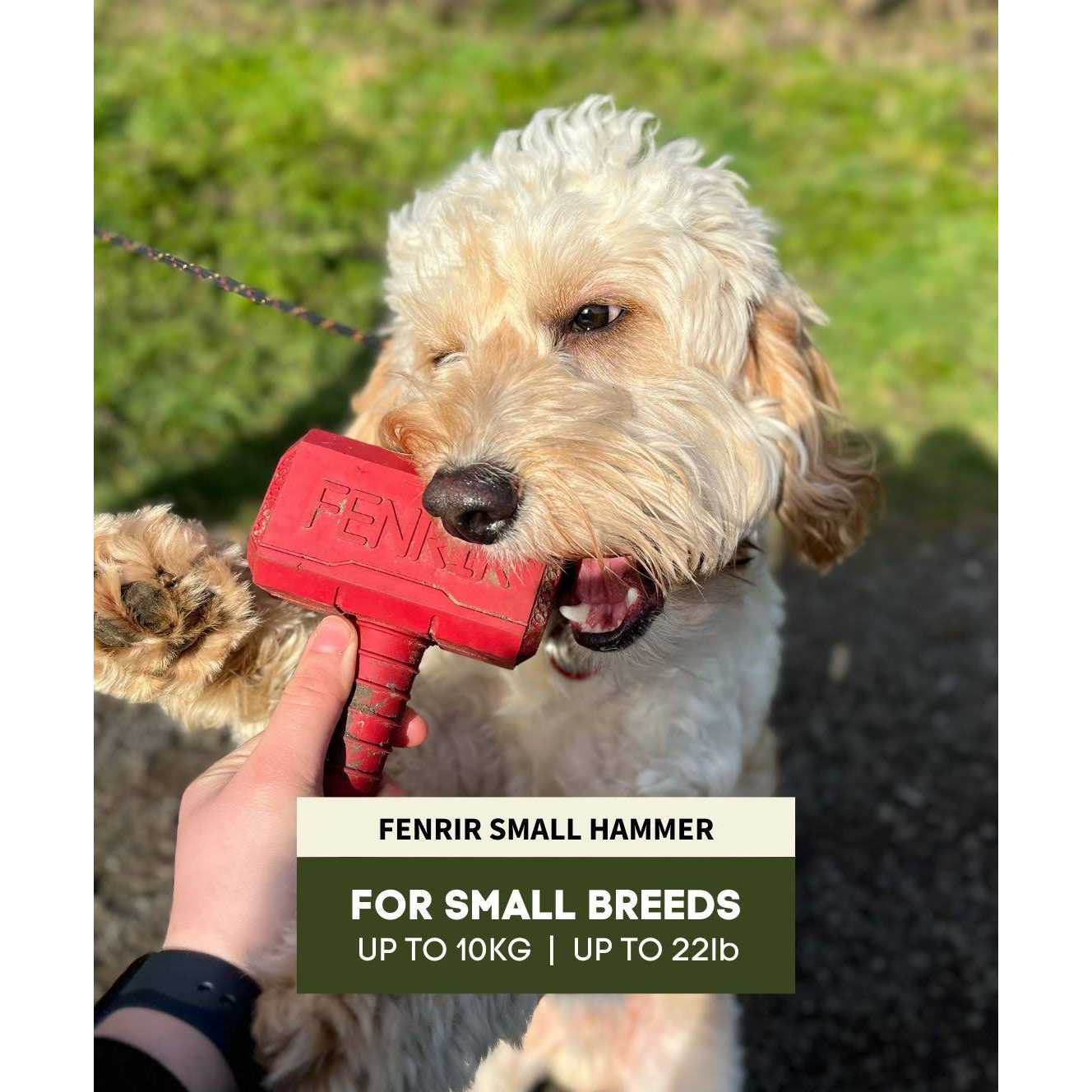 Hammer Chew Toy X518092