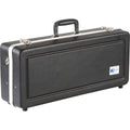 Replacement Alto Saxophone Case F498