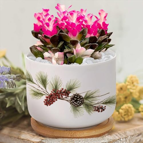 Blue and White Porcelain Ceramic Planters with Bamboo Trays F664313