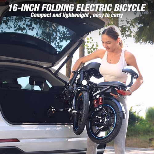 2 Seater Electric Bike, 16" Fat Tire, Full Suspension A247