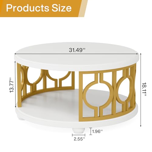 2-Tier Round Coffee Table with Storage Shelf H1369