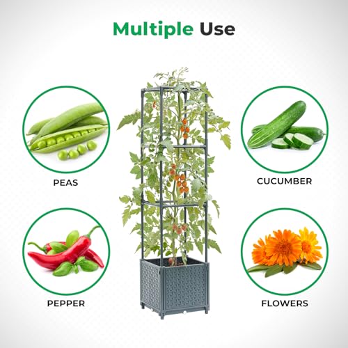 Raised Garden Bed with Tomato Planter Cage Q9136
