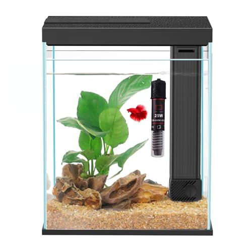 2 Gallon Glass Betta Fish Tank with Heater Filter and Light B7657