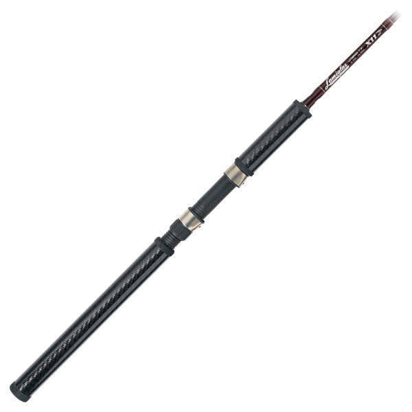 Salmon/Steelhead Spinning Rod J205933