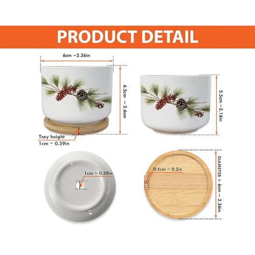 Blue and White Porcelain Ceramic Planters with Bamboo Trays F664313