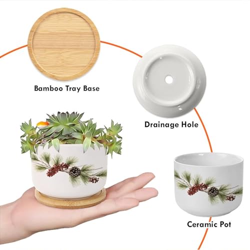 Blue and White Porcelain Ceramic Planters with Bamboo Trays F664313