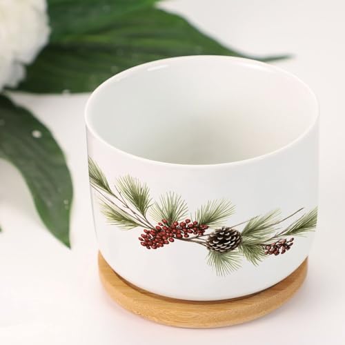 Blue and White Porcelain Ceramic Planters with Bamboo Trays F664313
