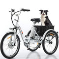 24" 3 Wheel Electric Tricycle with 350w Motor & Removable 36V 12Ah Lithium Battery F975